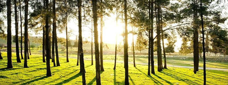 Sun rays illuminating a serene workout space.